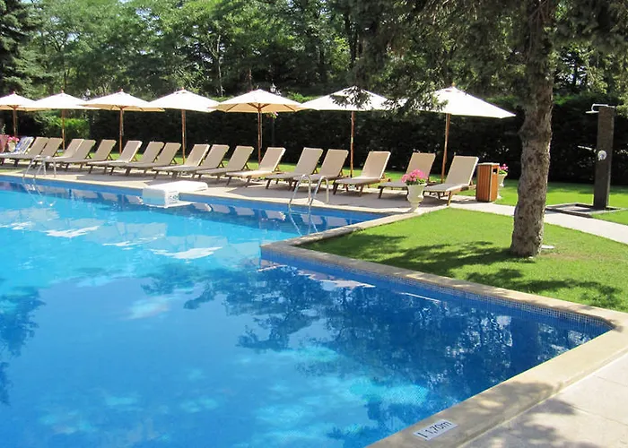 Purple Star St Constantin et Helena